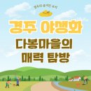 다봉마을 | 경주 야생화 다봉마을의 매력 탐방