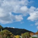 송정로L 이미지