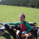 복중농장 이미지