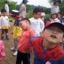 신영주유치원 이미지