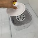 윌리하니 그루밍 이미지