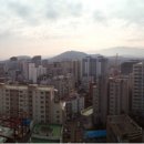 제주 자고가 이미지