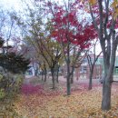 오색그린야드호텔 이미지