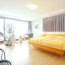 프리마 베라 이미지