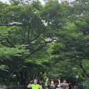 제 1136회 토요달리기 정기훈련 종료 이미지