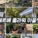 코스트팜아울렛