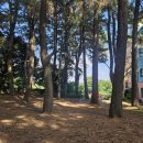 삼성여고 앞 1 이미지