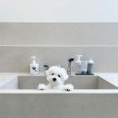 그루밍 까꿍 이미지