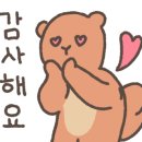 방울다방 이미지