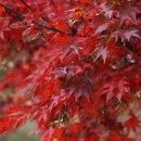 하늘로열린창 이미지