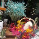 플라워맨카페(flower man cafe) 이미지