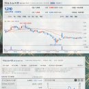 비케이대명 이미지