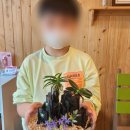 환경원예정원협동조합