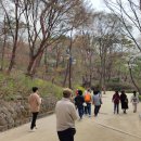 &lt;숲과 나무와 어울림 2회차&gt; - 삼청공원 벚꽃체험