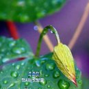 용하 이미지