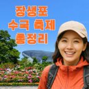 수산2리 생태마을 포토존 | 장생포 수국축제 꿀팁!