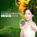 진생 이미지