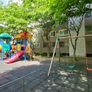 에코랜드수영장 체육관 이미지