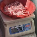 국내산 싱싱 연탄 산곰장어 이미지