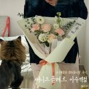 써니드교대역지점 이미지
