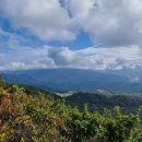 김성옥 인권행정사사무소 이미지