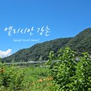 엘리시안강촌콘도 | [여름휴가🏖]엘리시안강촌 방문후기/가는 길/패밀리룸/셀프체크인,체크아웃