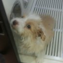 동현24시동물병원 이미지