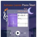 잼재미 뮤직&플레이 (B) | [실용음악 급수] Autumn Leaves 피아노 악보 (G단조) | 🎵2-5-1 코드 분석 및 왼손 워킹 베이스 팁