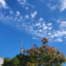 하늘체육관 이미지