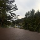캠핑장추천 영월 더좋은날n캠핑 데크20 연박후기