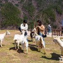 더불어목장 이미지