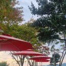 다온숲풀빛정원 이미지