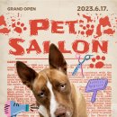 마미펫살롱 이미지