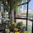 숲속 아지트 이미지