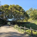 매성축산 이미지