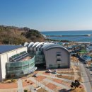 울진해양레포츠센터 이미지