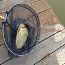 패밀리낚시터 이미지