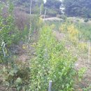 순서농장 이미지