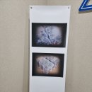 갈마치로 288번길 이미지