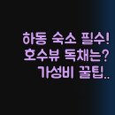OK무인텔 | 가족 커플 여행 완벽 비교 정리 | 호수뷰 독채펜션 가성비 무인텔 솔직 후기 | 실패 없는 숙소 고르는 꿀팁
