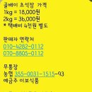 이보식품