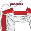 네오메디컬동물병원 이미지