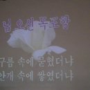 (013) 도봉구민회관 임수나노래교실 임수나 선생님 수업장면 ♬ 님오신 목포항 2014.11.27 이미지