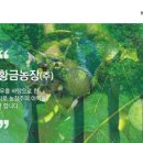제근농장 네이버블로그