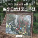 고봉산재래한증막 | 일산 고봉산 등산 코스 추천 (순환 코스 약 1시간 20분) 일산 가볼만한 곳