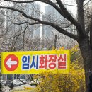 낙동강변로4-46 | 실시간 부산 삼락생태공원 2026년 벚꽃축제 주차장 꿀팁 모르면 1시간 고생합니다