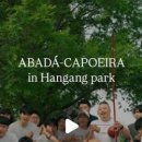 삼바 파고지 이미지