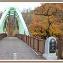 삼화초등학교 이미지