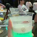Beach Beer(비치비어) 이미지