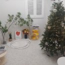 도리스테이 고대점 이미지